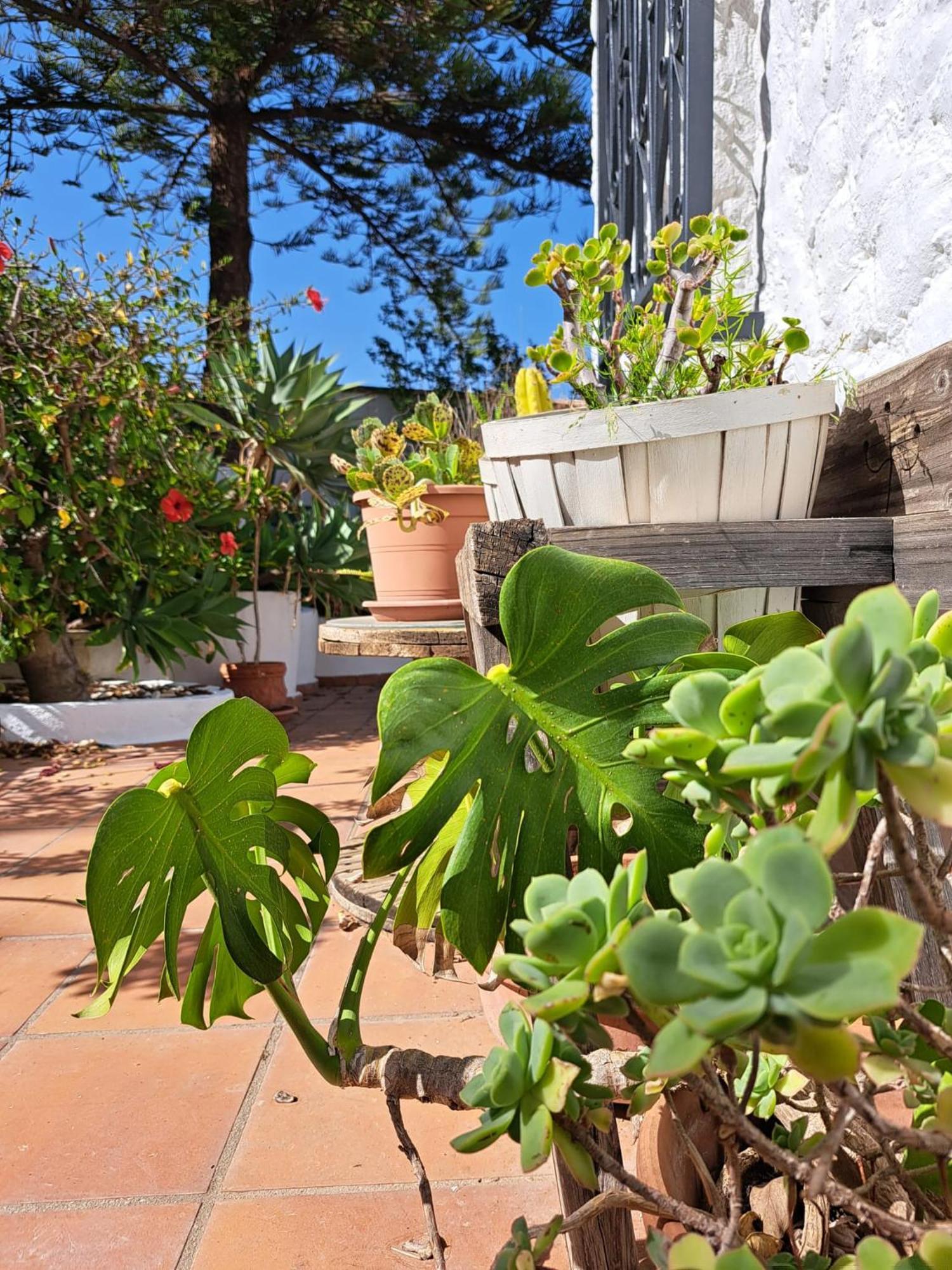 Casa Campo Mijas Costa Del Sol Málaga Eksteriør bilde